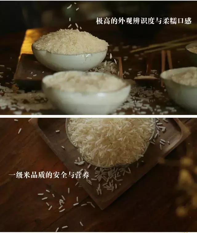 不容错过的米兰德比前哨战 热那亚客场挑战蓝黑军团 直播信号全覆盖比赛细节全掌握