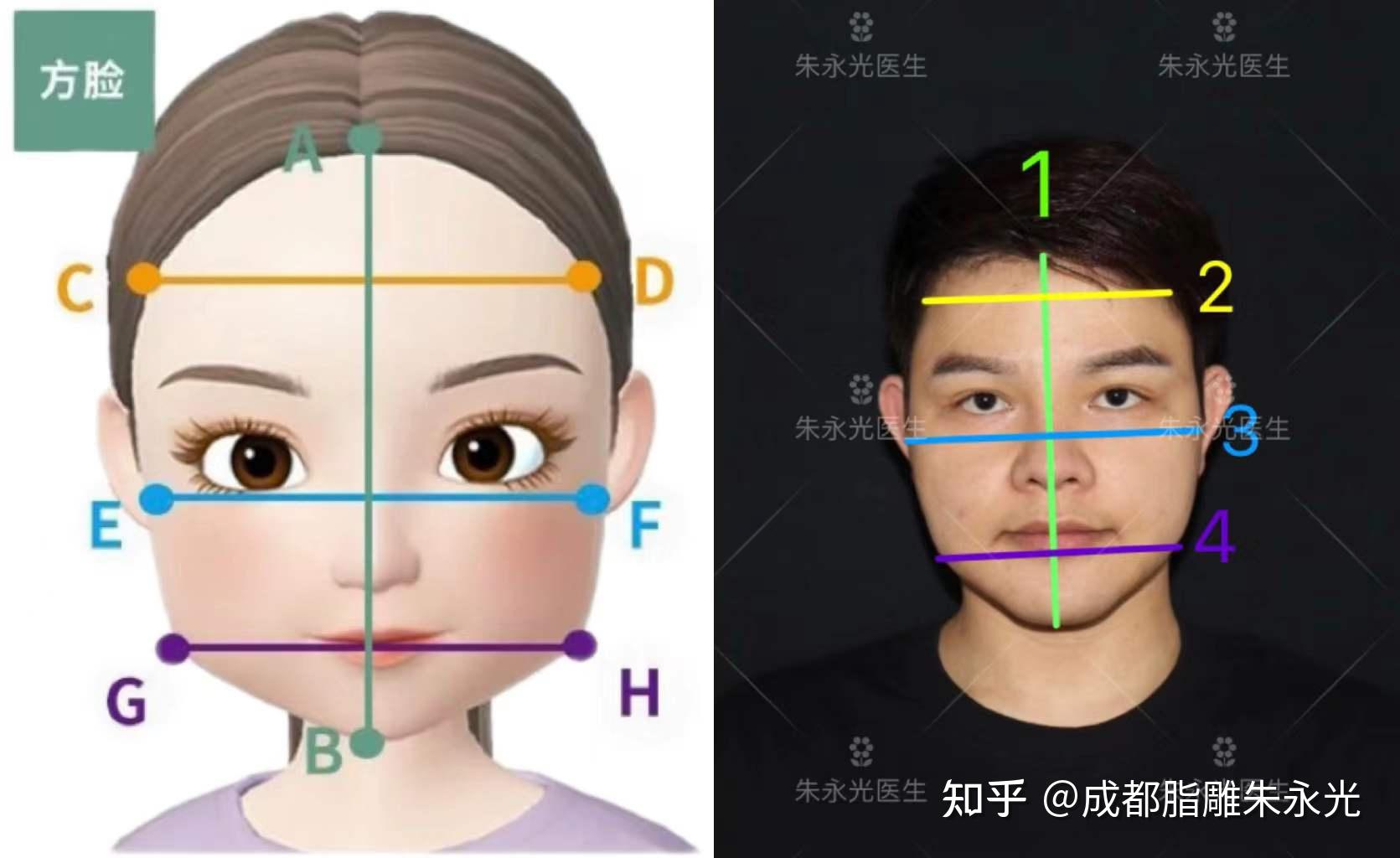 脸看起来方方正正怎么办?方脸如何变美? - 知乎