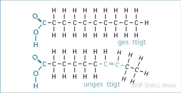 油脂分子式结构简式图片