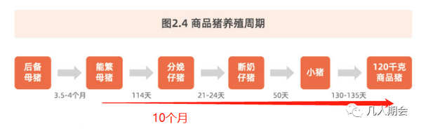 我要看现在的生猪价格_生猪价格看现在要涨多少_现在生猪价格怎样