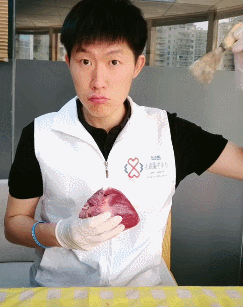 猪心解剖告诉你X光，CT，彩超室怎么做的？ - 知乎