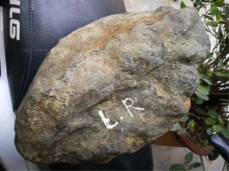 黑乎乎的一块莫西沙黑皮料脱了外衣全身绿了