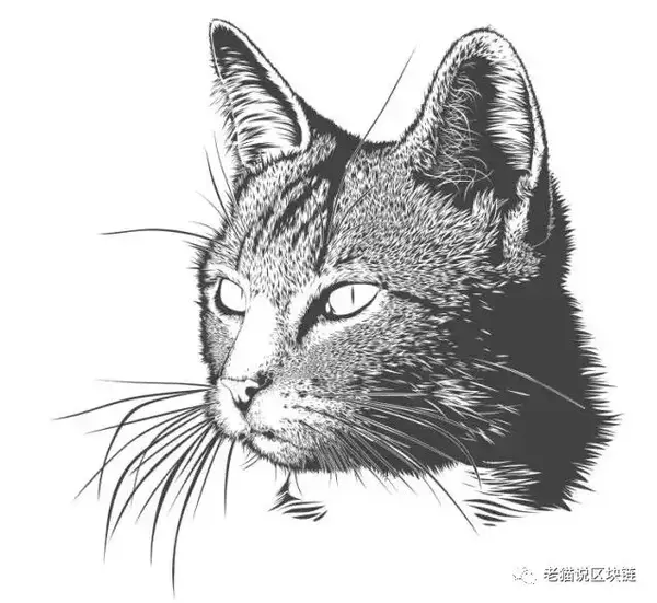 欢迎留言给黑猫
