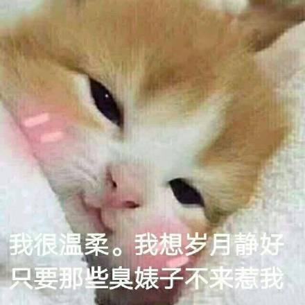 护肤保养 图片_保养护肤水果_护肤保养说说