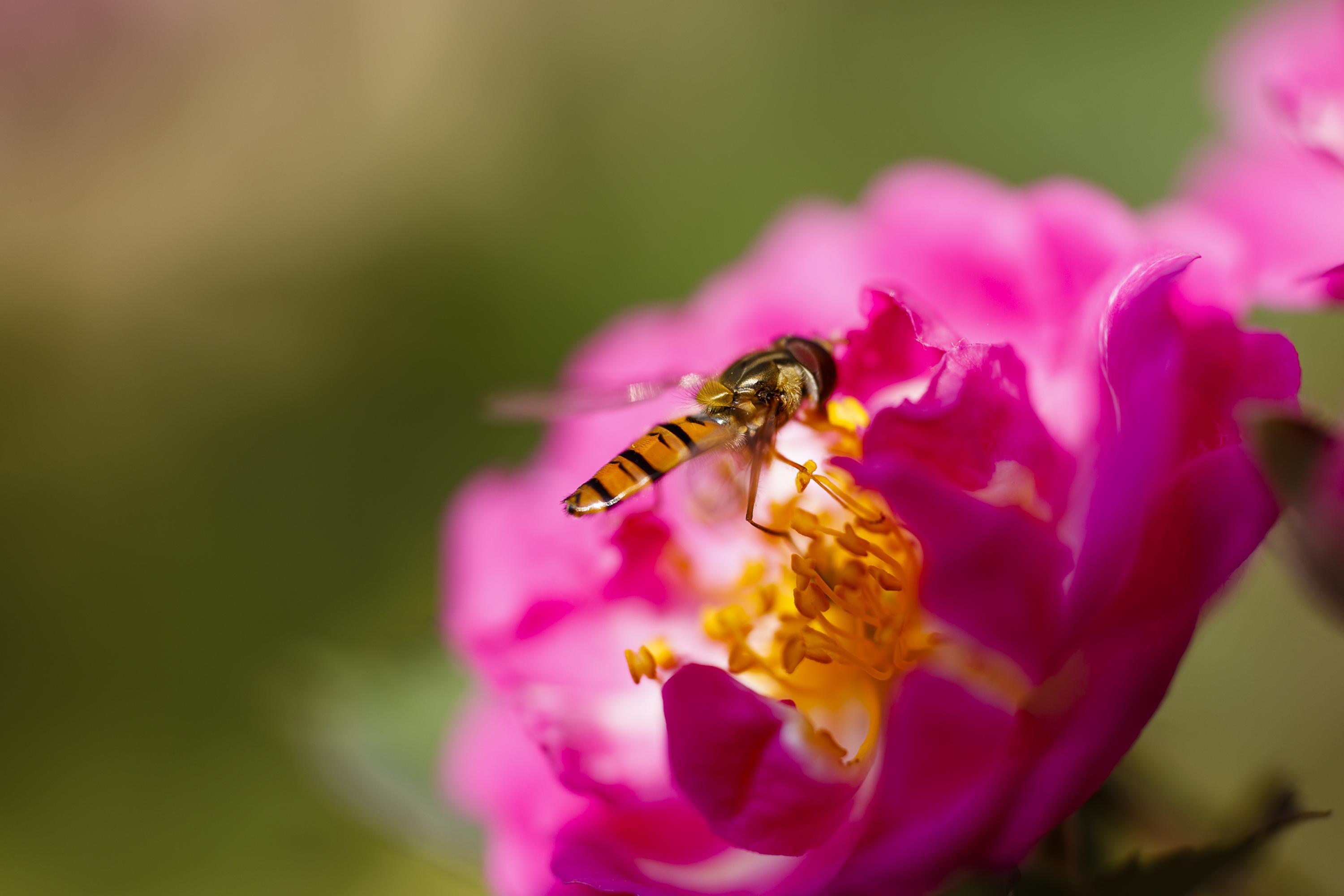 为什么大多数摄影师大多数场景常用光圈优先模式拍摄