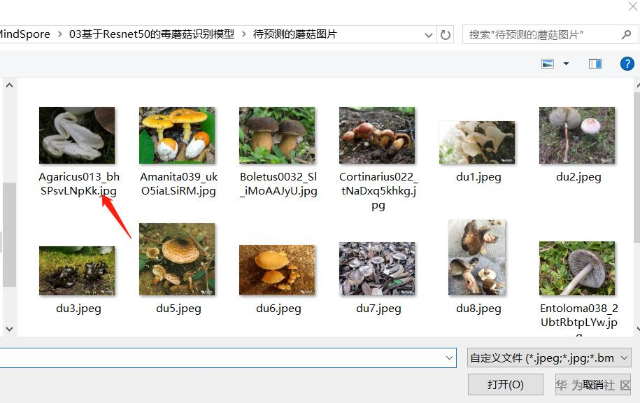 手把手教你使用ModelArts的自动学习识别毒蘑菇分类 手把手教你使用ModelArts的自动学习识别毒蘑菇分类