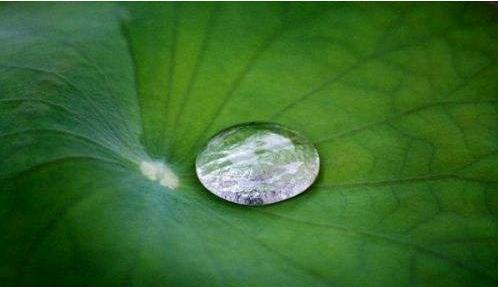 高的静水压,具有负水面防水的功能,容易操作,只需现场搅拌即可使用