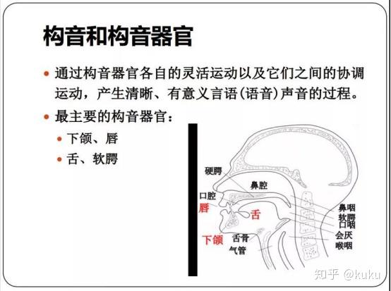 构音言语训练要点1,2,3