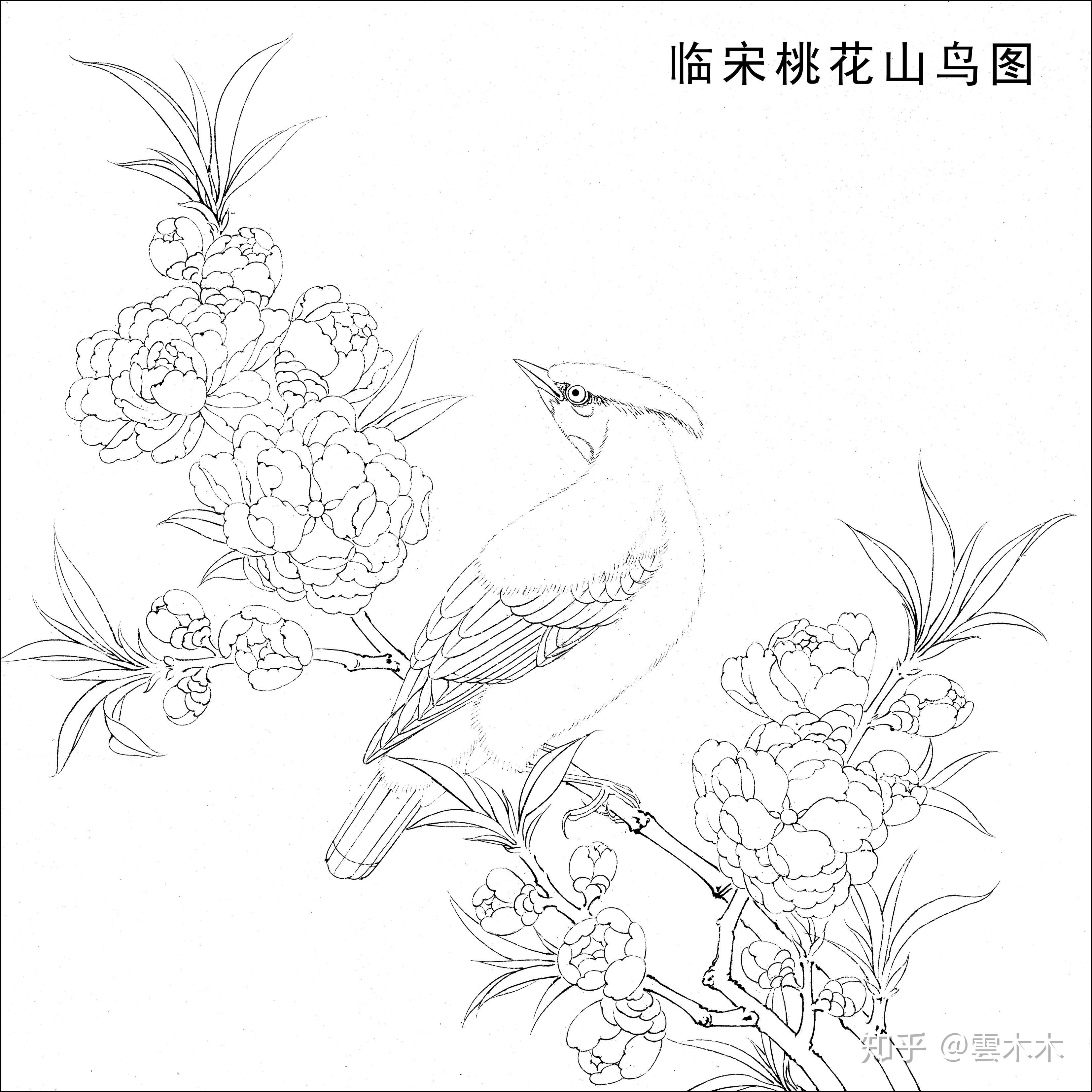 宋小品《桃花山鸟图  》国画工笔,绘画步骤图