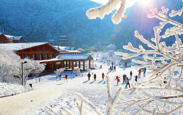 这冷冽的山间嬉戏打闹 从景区入口乘坐换乘车至索道口再乘索道至西坡