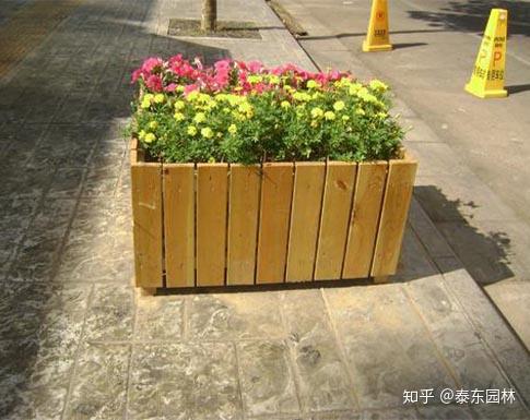 防腐木长方形矮花箱适合种什么花