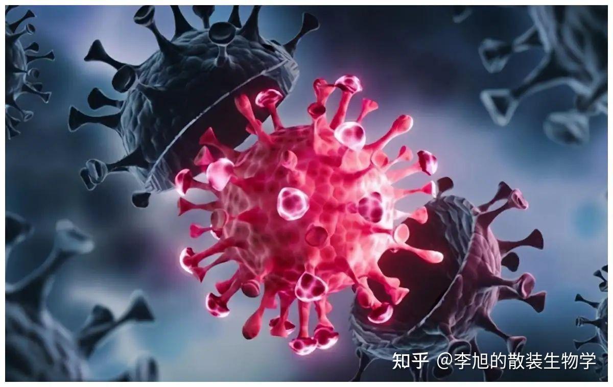 为什么为什么病毒无法被消灭?我们为什么不用担心 - 知乎