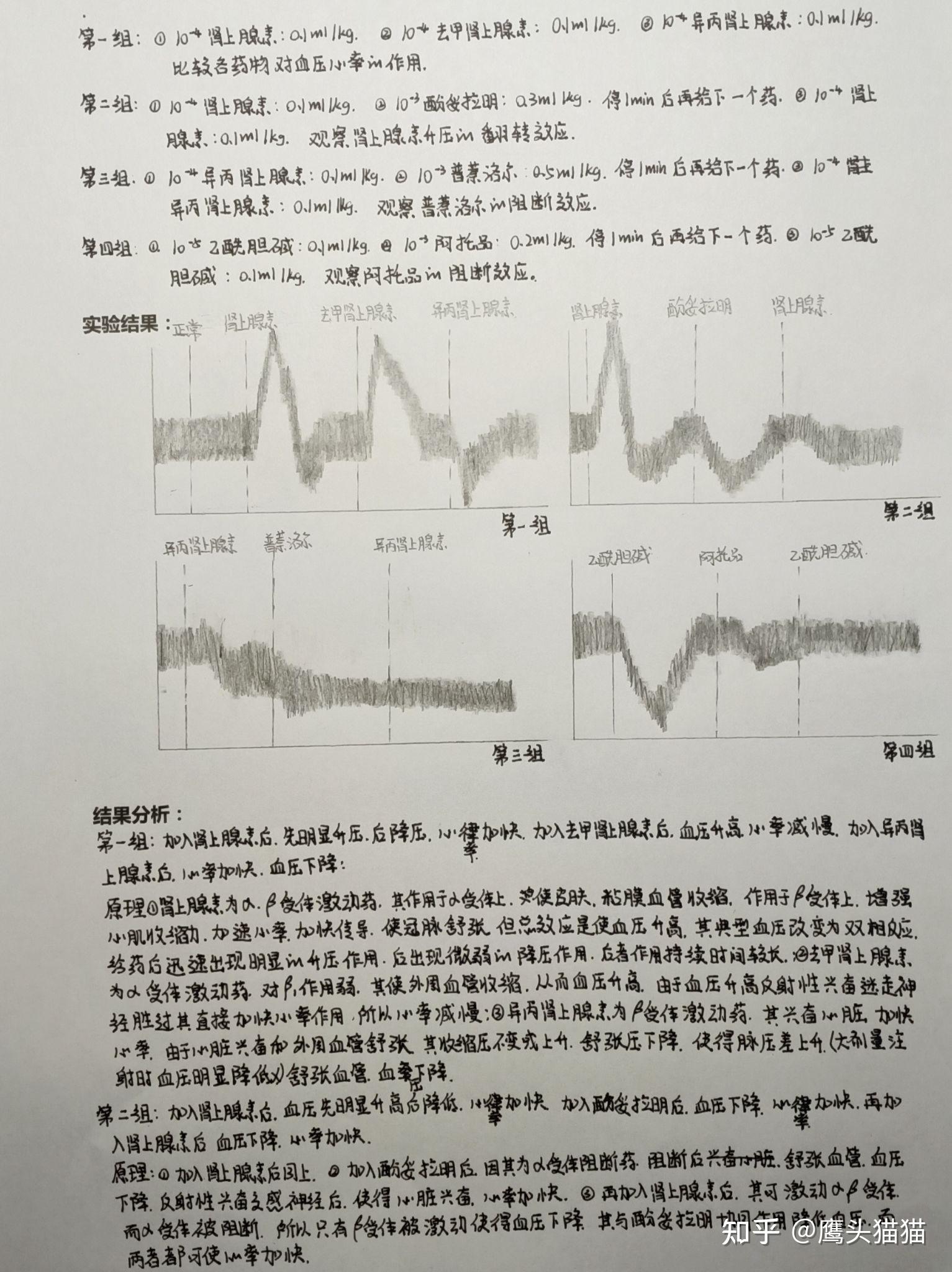 机能实验学实验报告