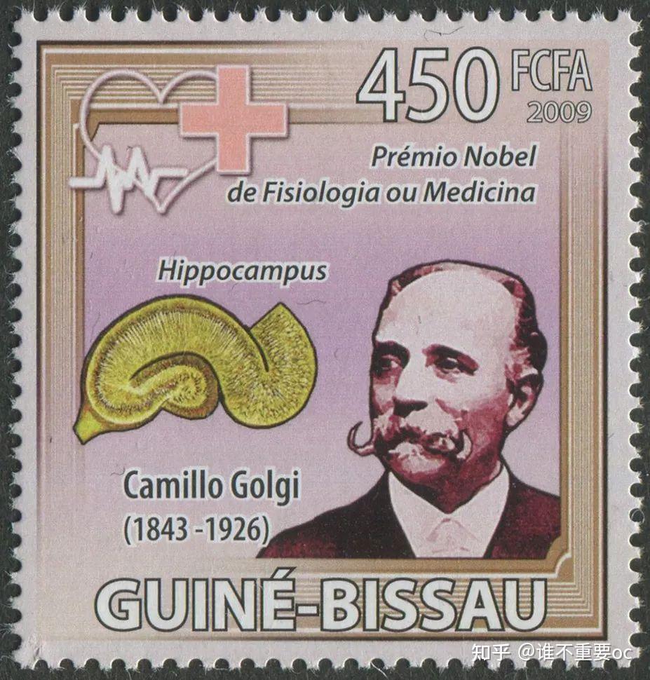高尔基体和卡米洛•高尔基camillo golgi - 知乎