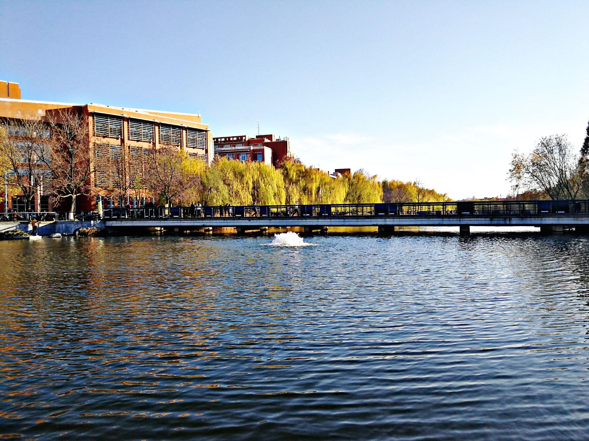 在郑州大学(zzu)就读是一种什么体验?