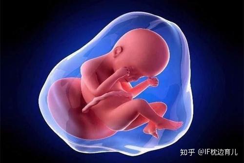 胎动每天有固定时间吗 胎动规律有变化 育婴师教你科学数胎动 知乎