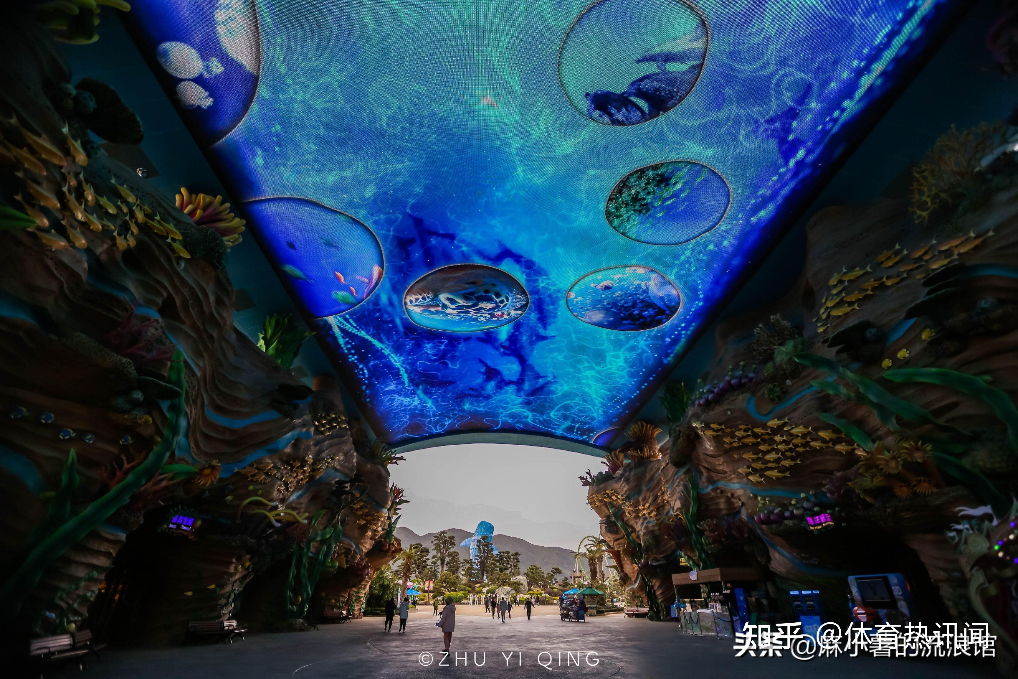 珠海人气海洋王国千百种海洋动物齐聚还能看到巨大鲸鲨