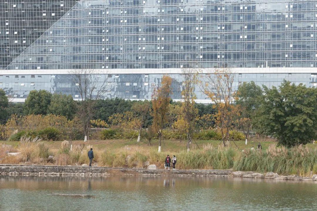 10个超宝藏成都公园,为你翻开一份「公园城市图鉴」 - 知乎