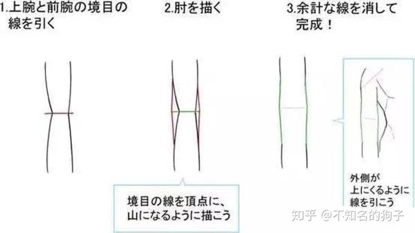 腋下与手肘应该这样画 人体结构绘画有技巧 知乎