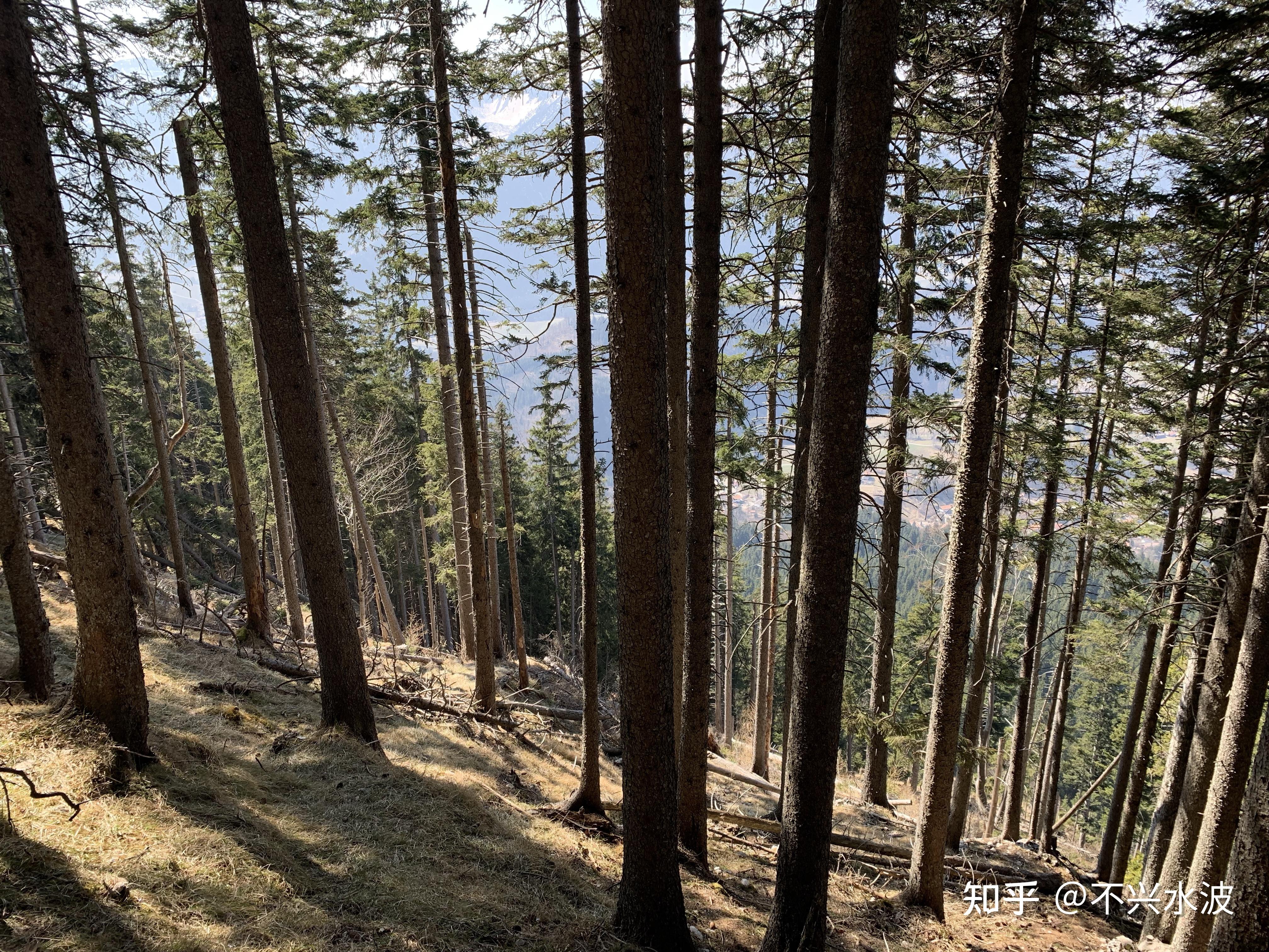 山石峨峨记在德国的第一次登山