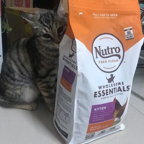 top进口猫粮推荐:进口猫粮哪里买?进口猫粮品牌推荐