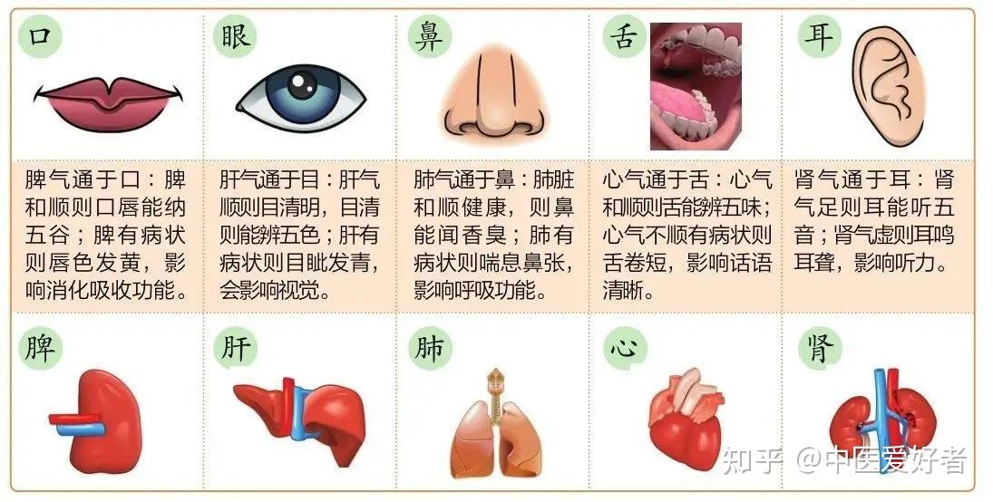 五行五脏五味五色五官五情五季的辩证关系 - 知乎