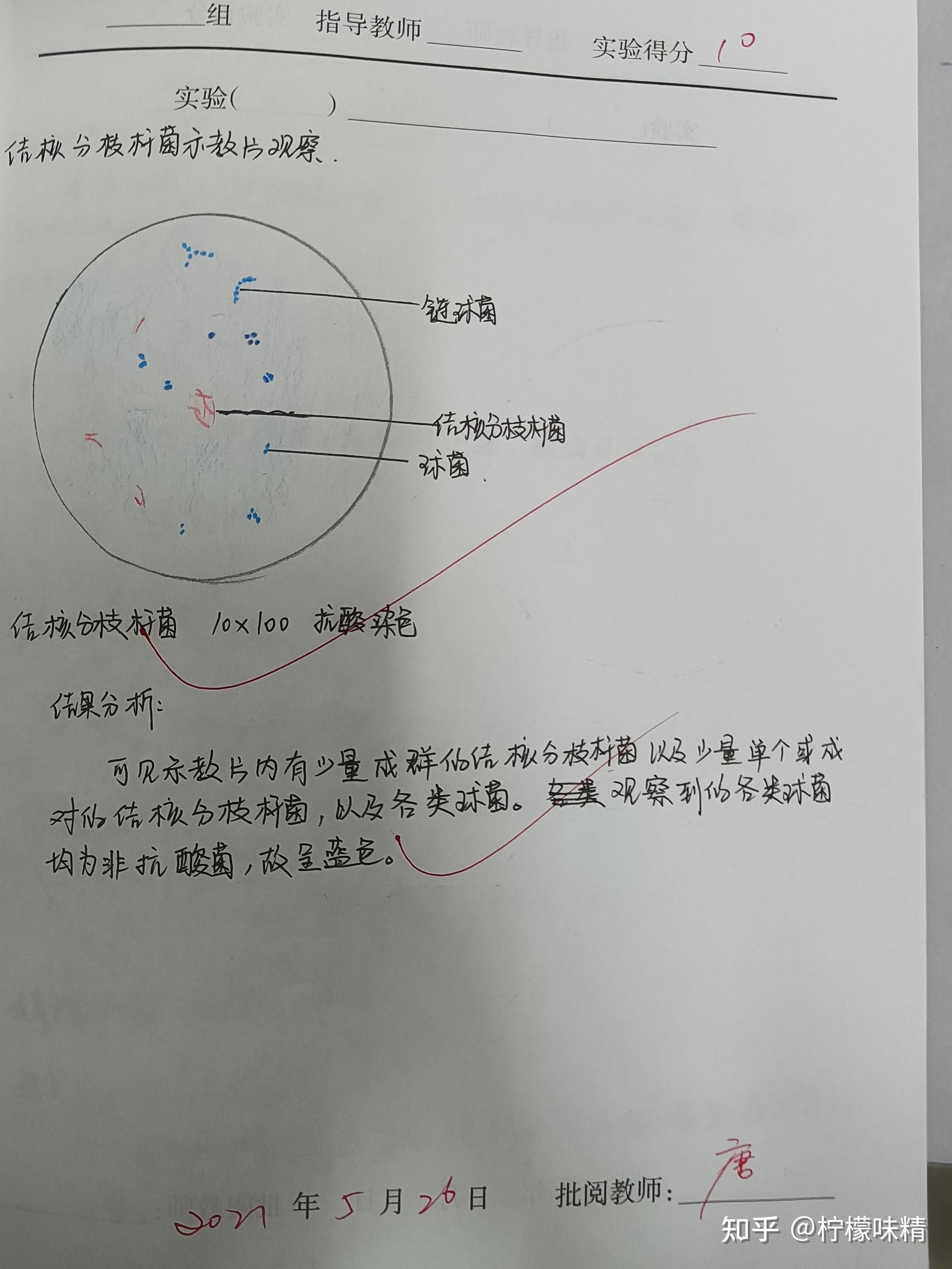 炭疽芽孢杆菌思维导图图片