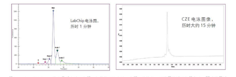 微流控蛋白电泳 LabChip GXII Touch——快速且高通量的蛋白解决方案 - 知乎