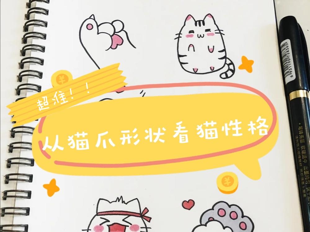 猫咪也能看手相 教你从猫爪肉垫形状看猫的性格 知乎