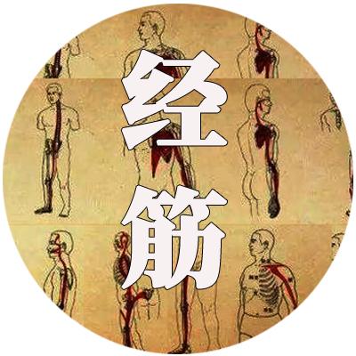 连载经筋与经脉的关系