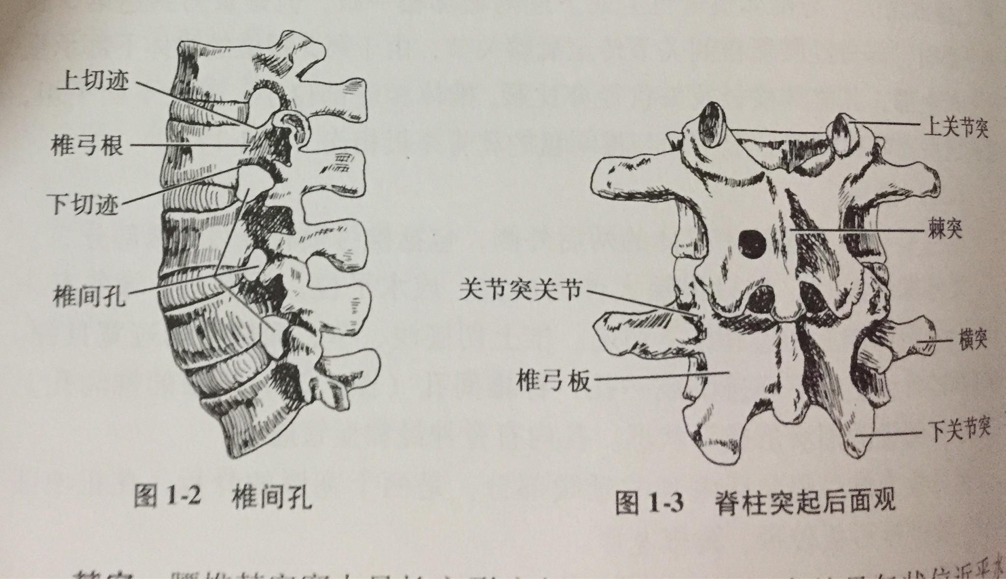 有哪些细思恐极的短故事