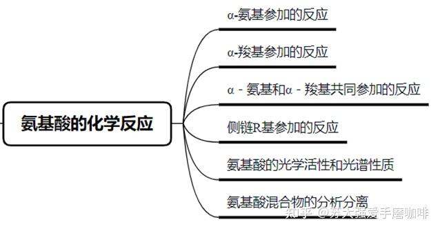 高中生物氨基酸图图片