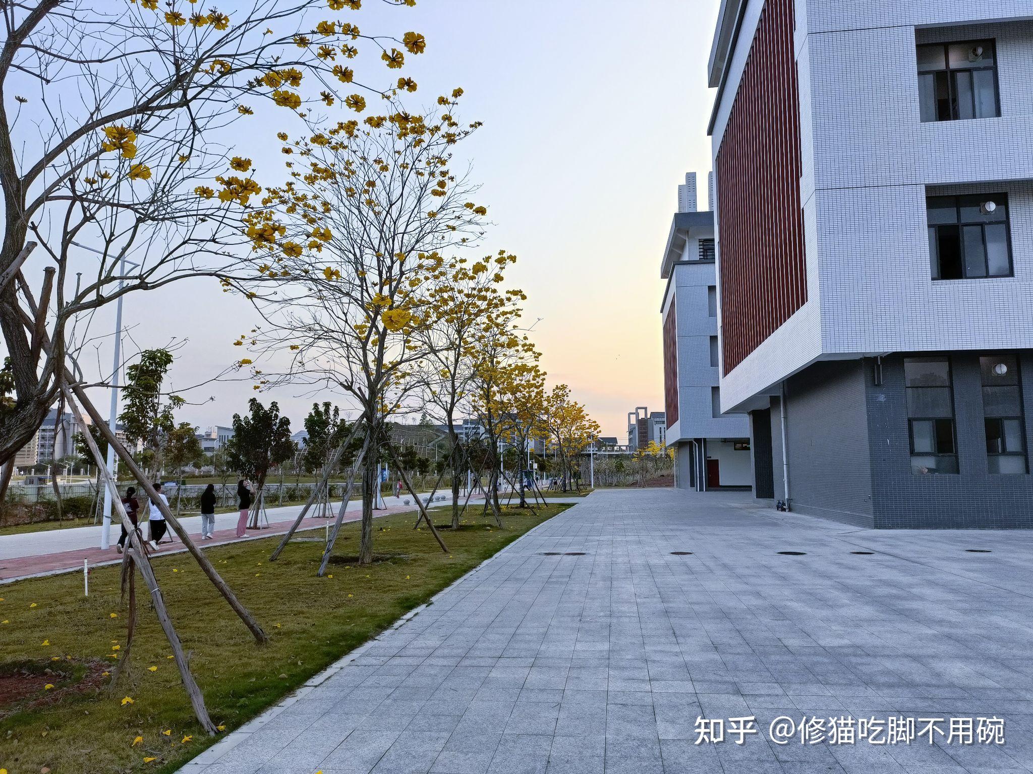 广东师范大学河源校区图片