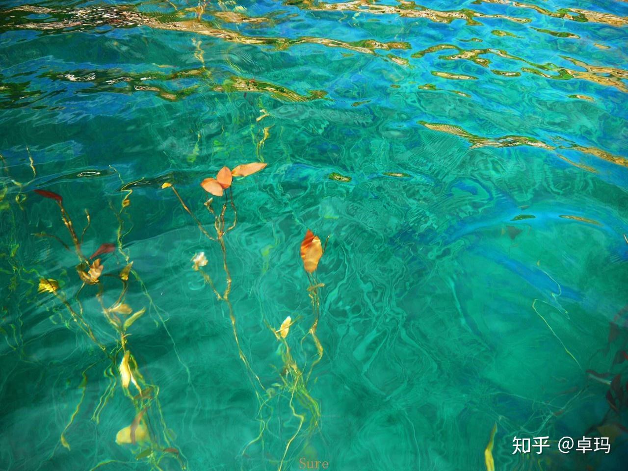 什么叫水性杨花 v2-726844886e86ae8a276f027be66c2016_r.jpg