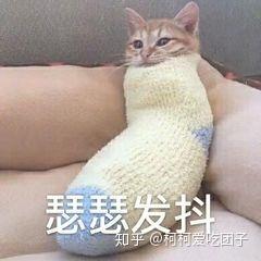 v2-7283baf85e9c732bd388a5323b285efe_b.jpg