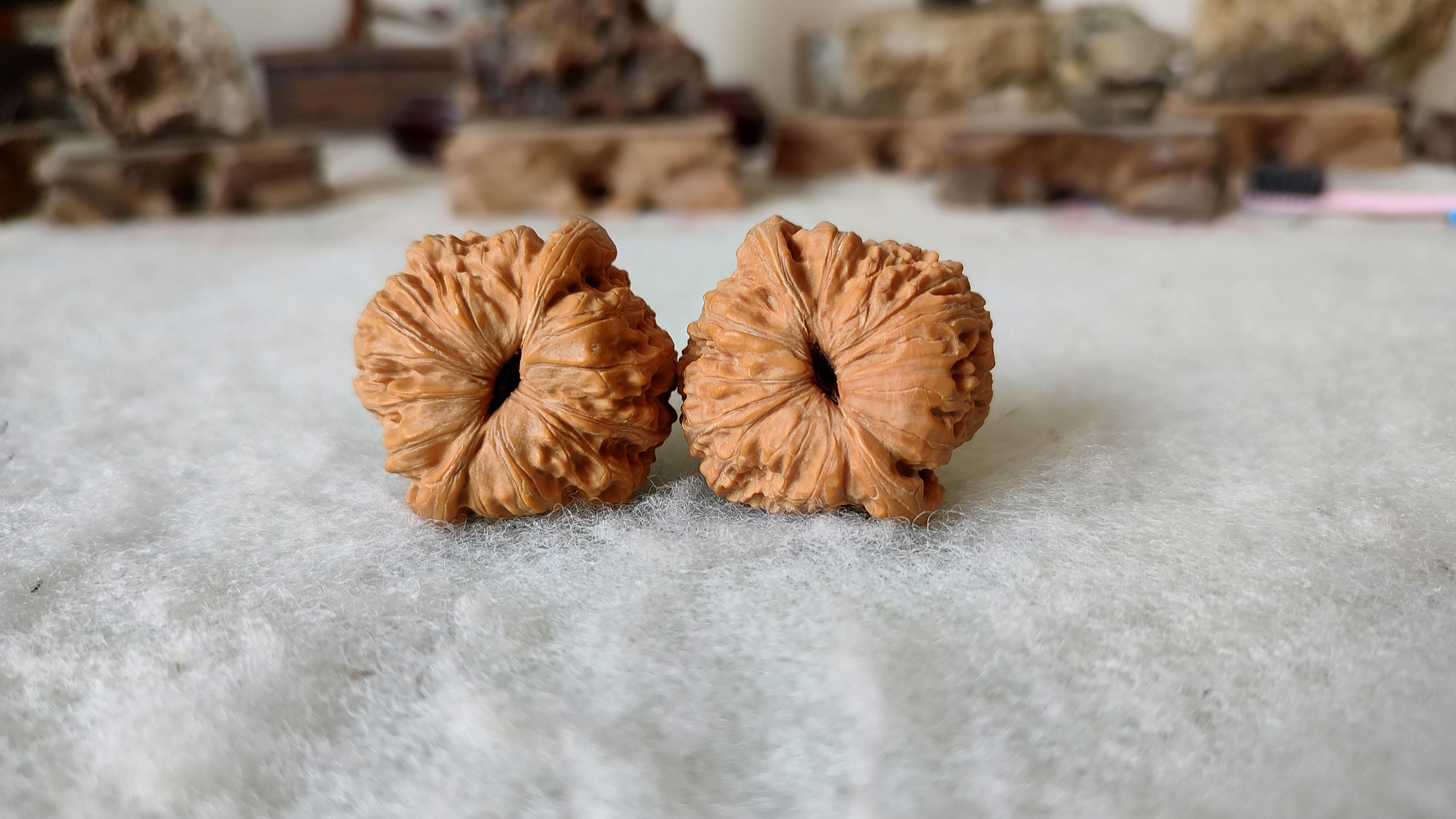 风氏文玩收藏馆:0093 麻核桃 绣球狮子头