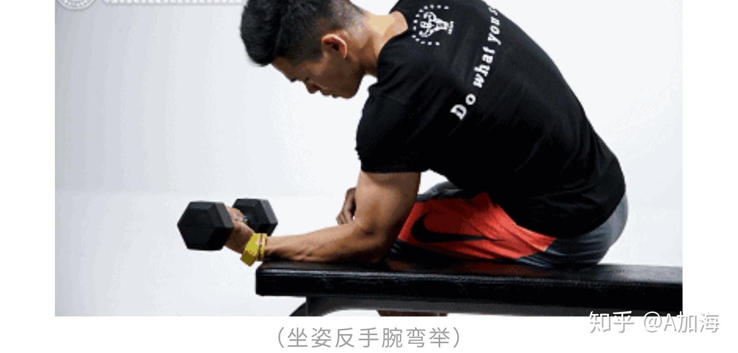 二头弯举小臂酸痛,80%训练者忽略的问题 - 知乎