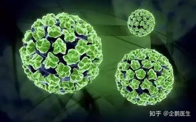 HPV疫苗是防止什么的 v2-72c26509e72368a19a7935c2a0f306ce_r.jpg