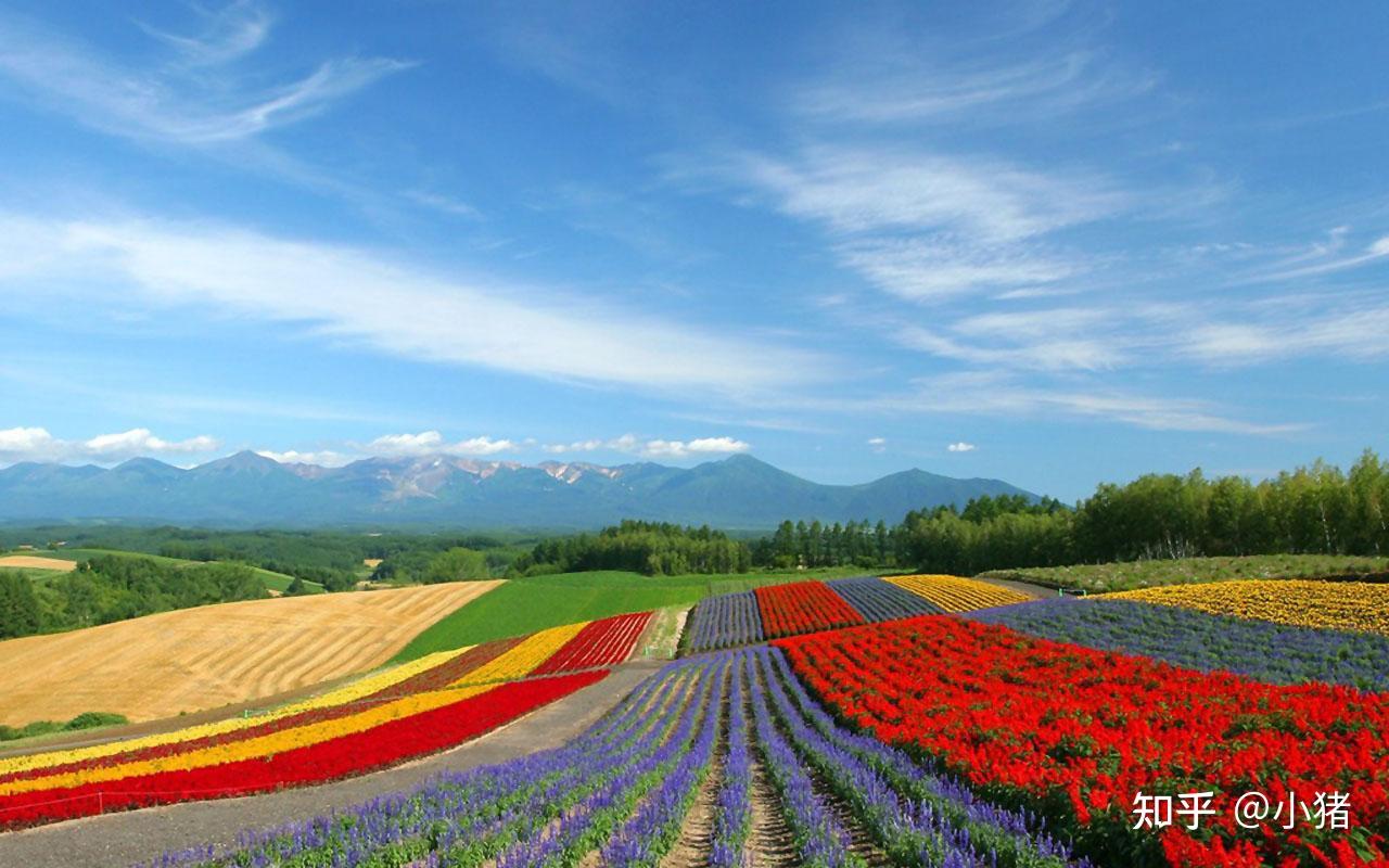 平板壁纸_平板壁纸10.