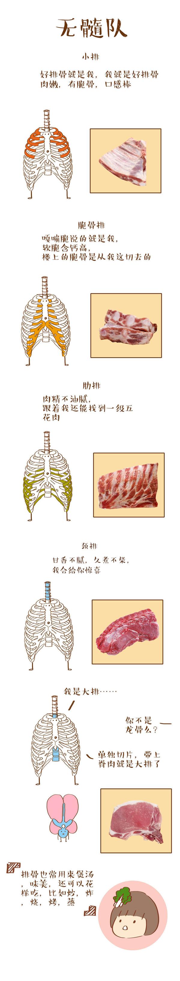 炖猪骨汤 你选对骨头了吗 知乎