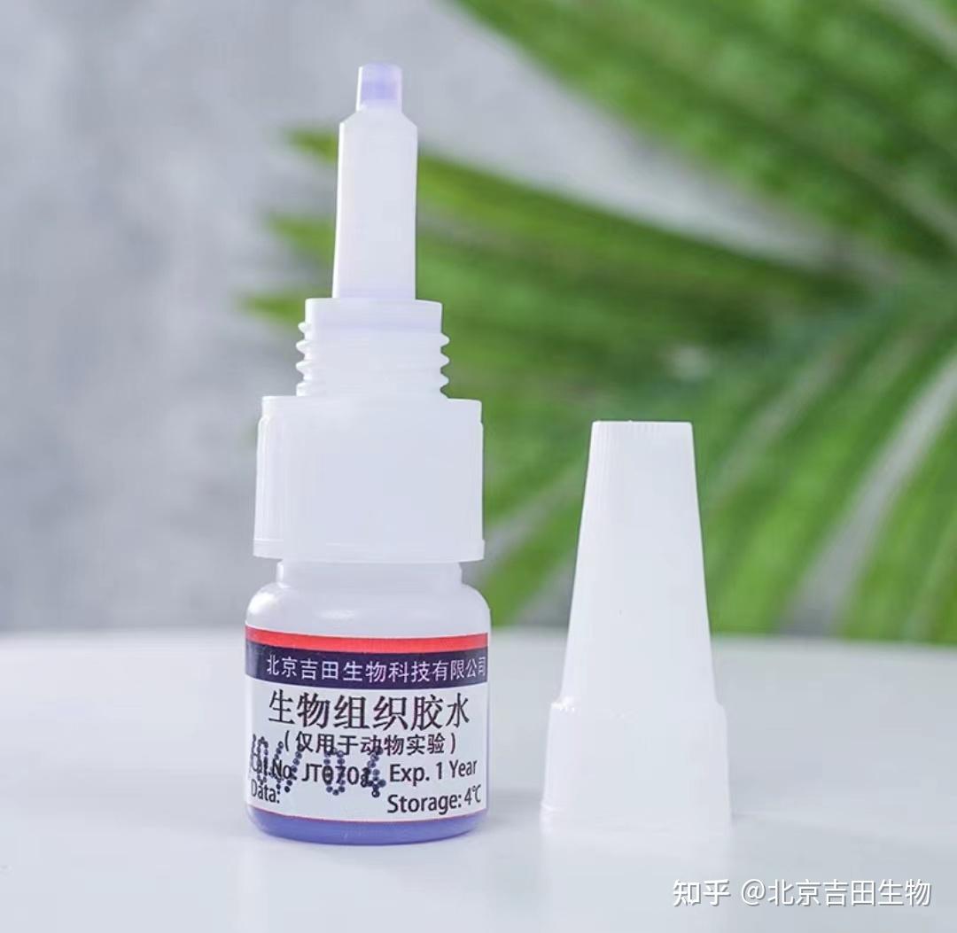 生物组织胶水：小身材，大能量，实验好帮手 - 知乎