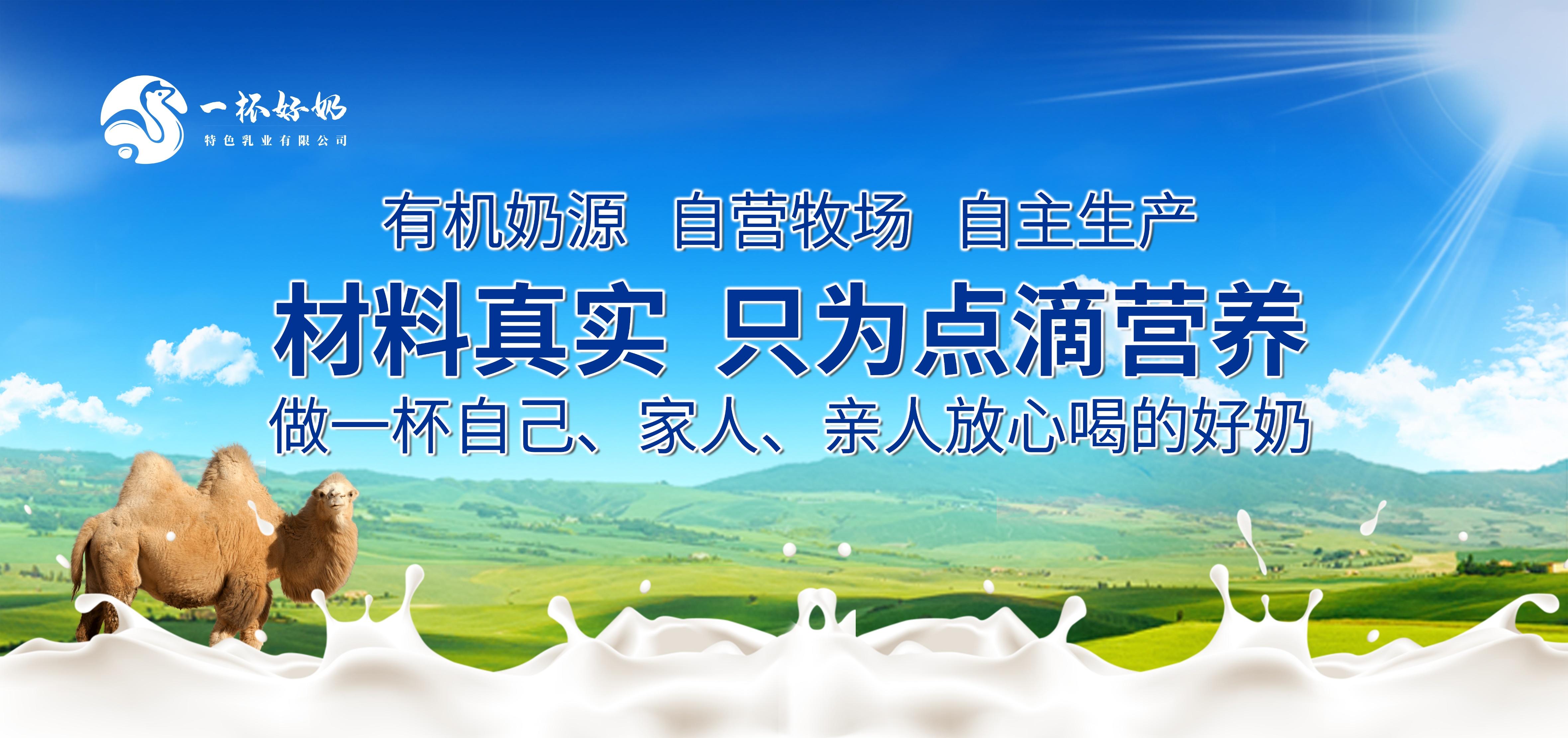 新疆骆驼奶粉厂家:有份撬动千亿健康市场的项目,想和您谈一谈