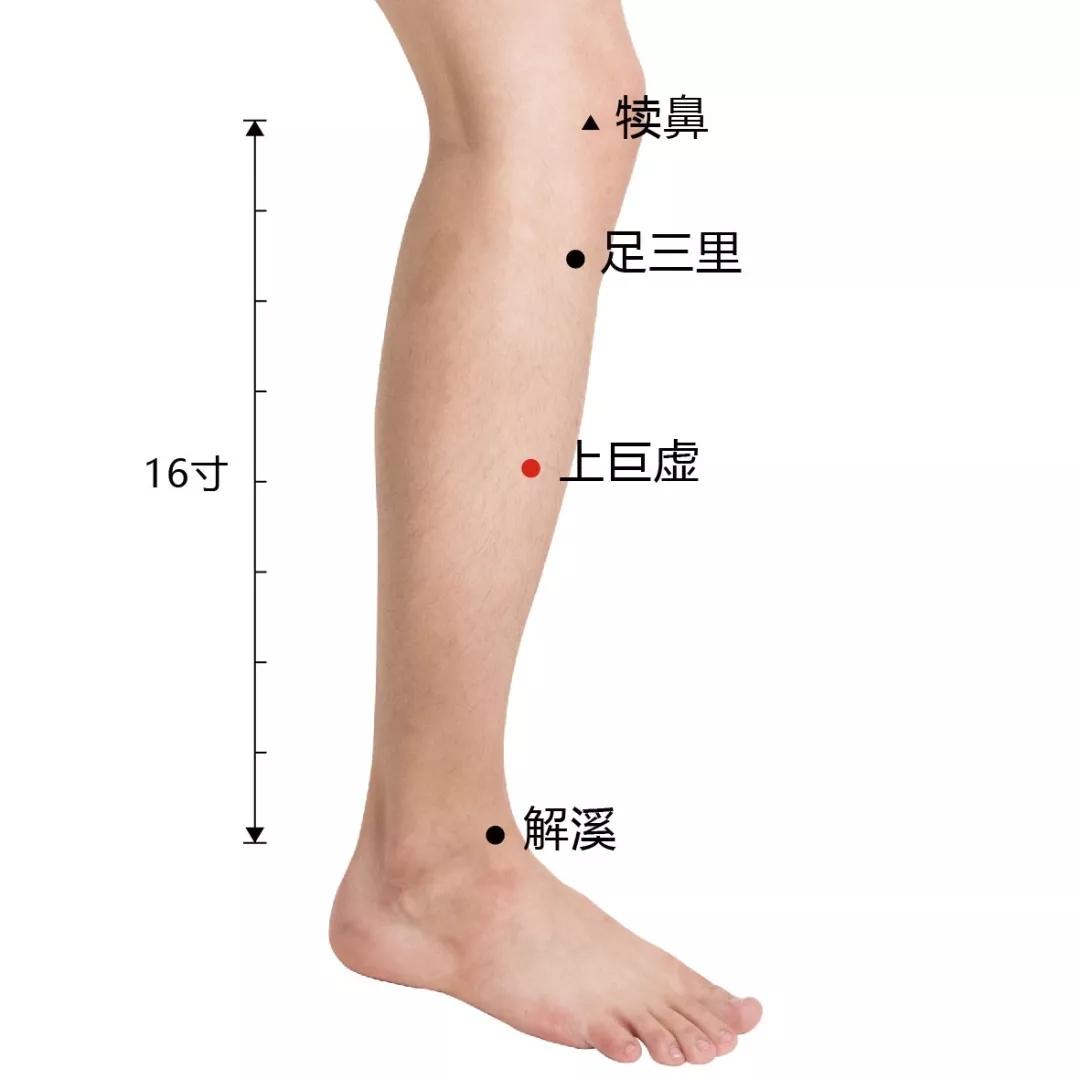位置:关元穴位于脐下3寸的位置,属于养生保健的穴位.