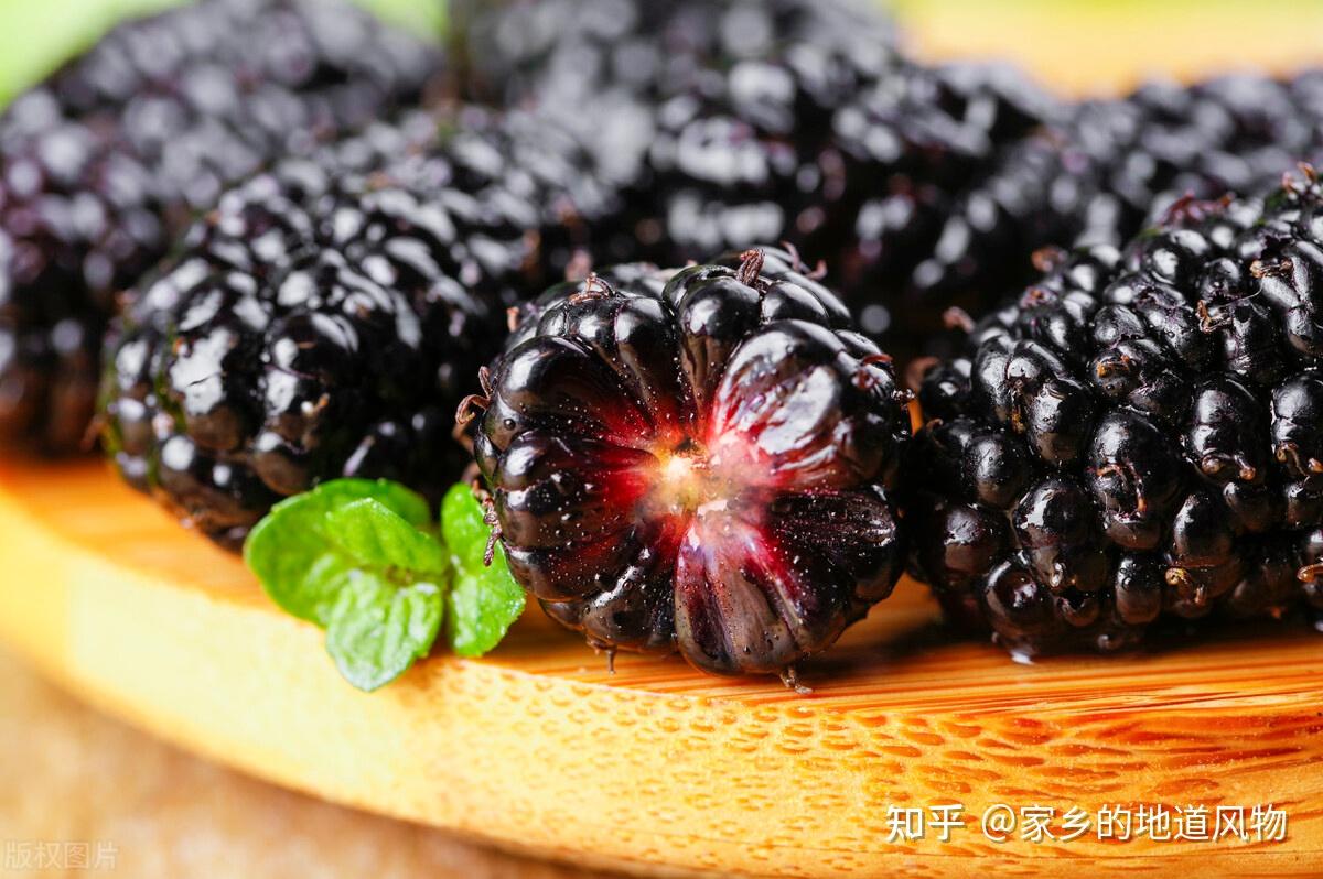 最适合夏天吃的十种水果（夏天吃什么水果对身体好）_玉环网