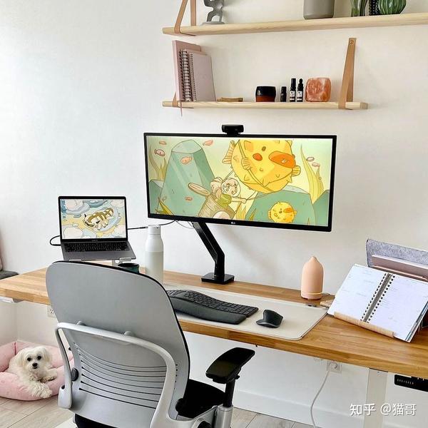 Dart Constructors 构造函数使用技巧整理 知乎