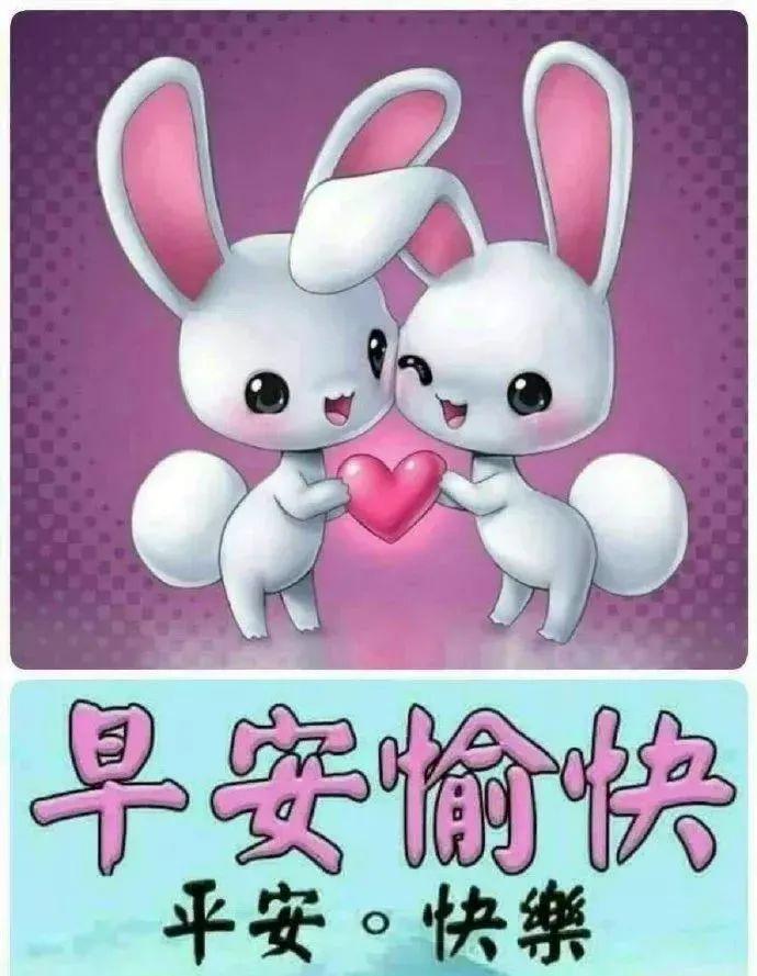 星期五清晨早上好短信祝福关心的话最美清晨问候语录图片最新版