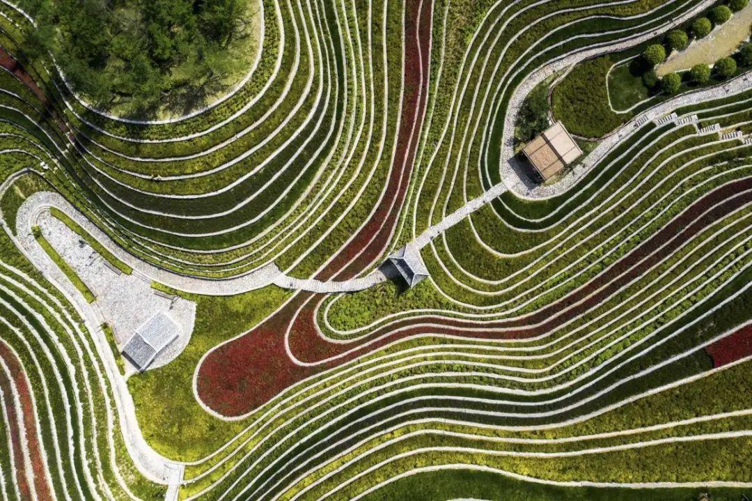 梯田景观设计案例needle景观案例分享第四十六期
