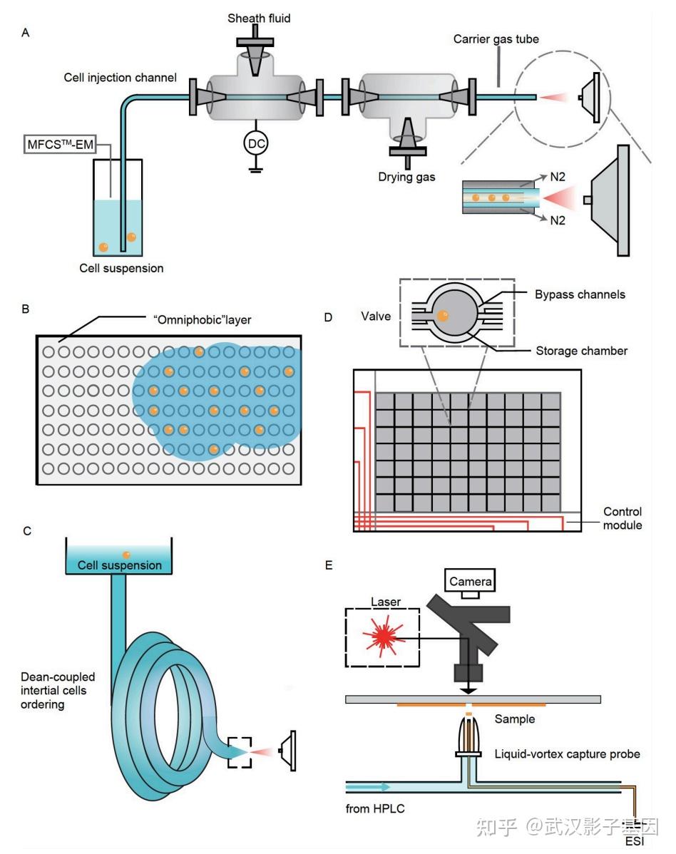 单细胞组学｜实验、分析、工具流汇总 - 知乎