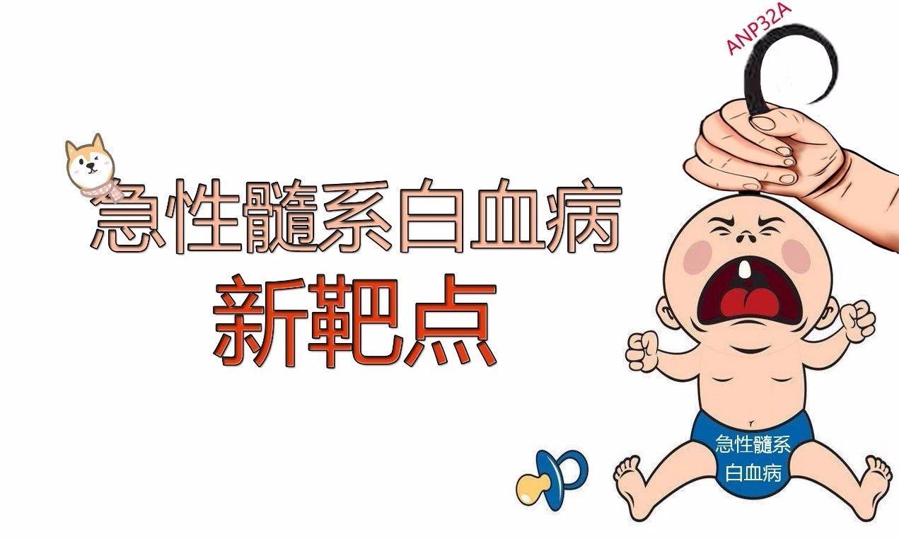 急性髓系白血病的小辫子被科学家抓住了