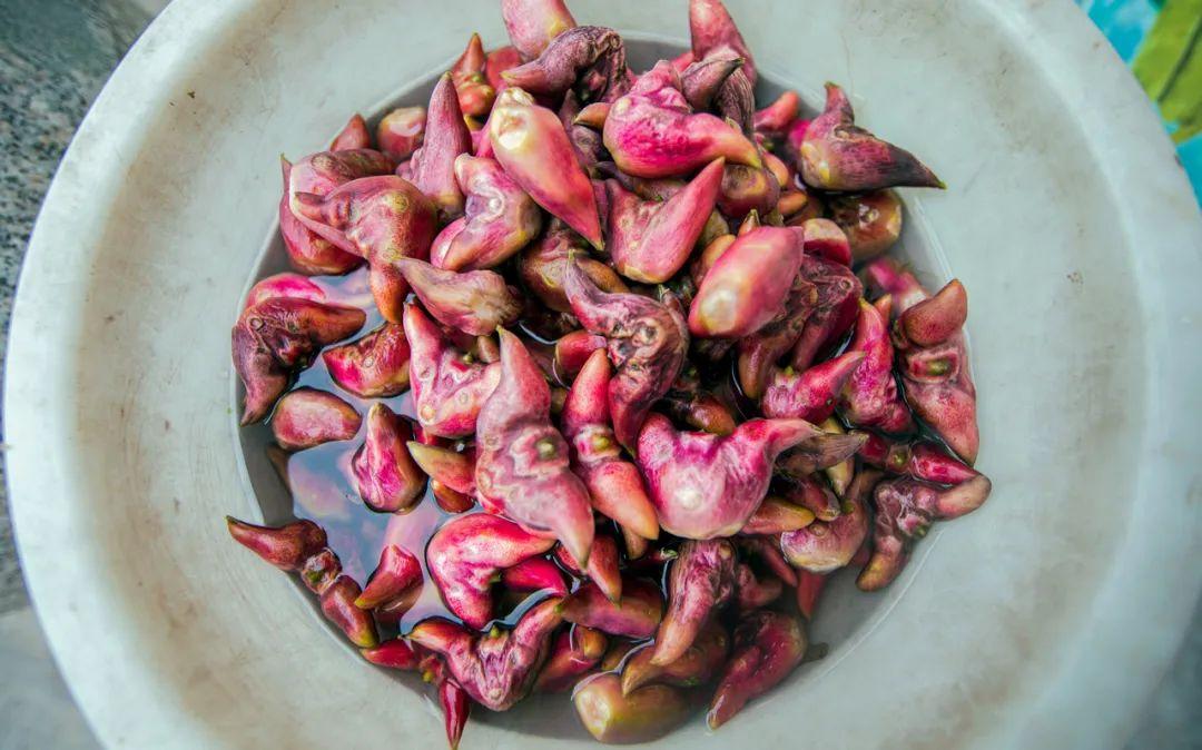 菱的品种多种多样,有四角,二角,无角,有深水,浅水,有早熟,晚熟,还有红